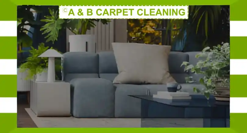 Why Choose Modern Healthy Home Carpet Cleaning Over Traditional Methods?