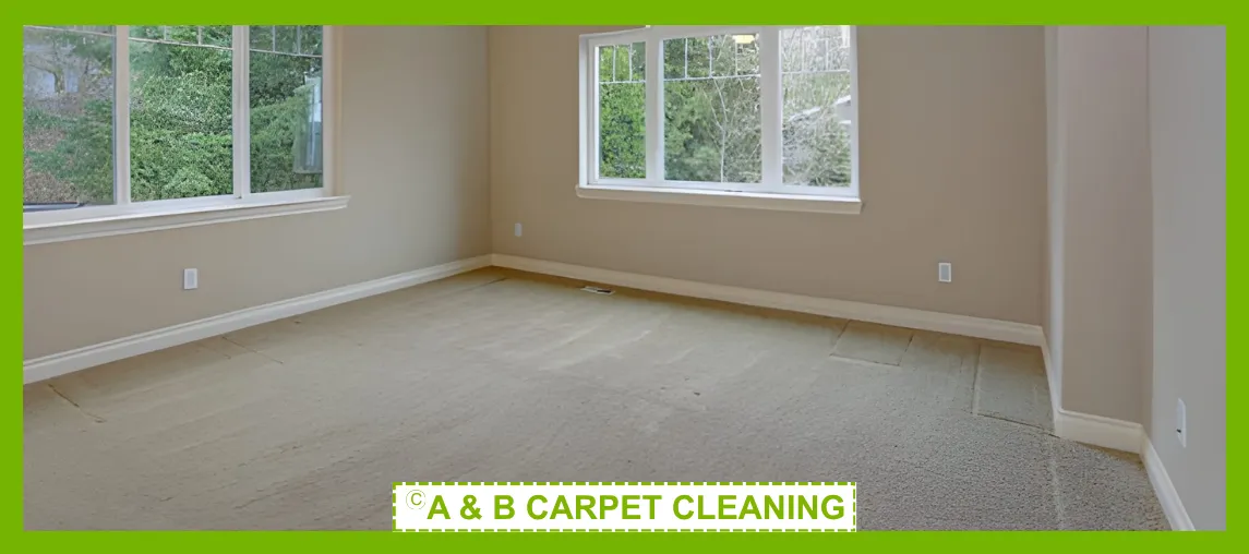 Carpet Cleaning Image