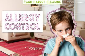 Allergy Control - Brooklyn Allergy Control - Brooklyn